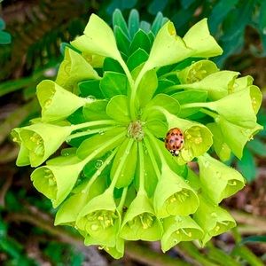 Meet your Posher, Elbegzaya